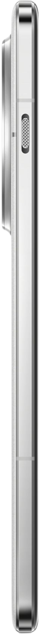 OnePlus 13